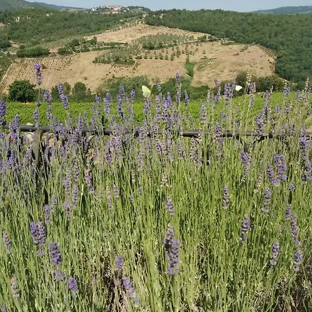 Vistarenni 4*