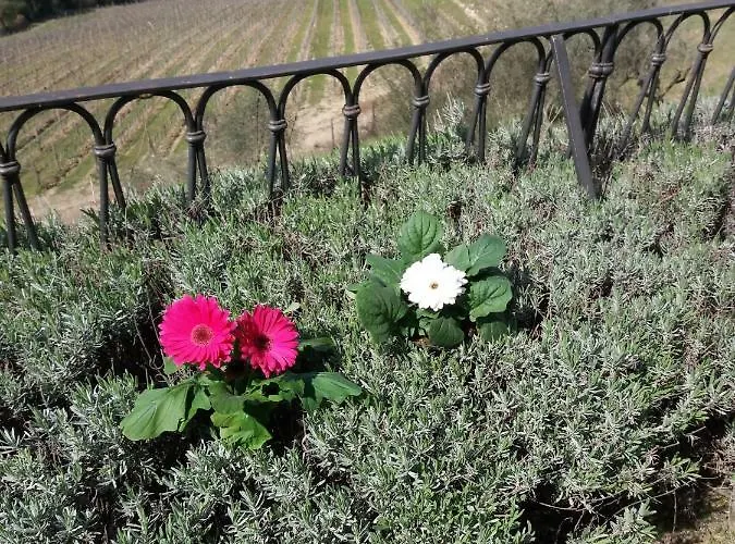 Vistarenni